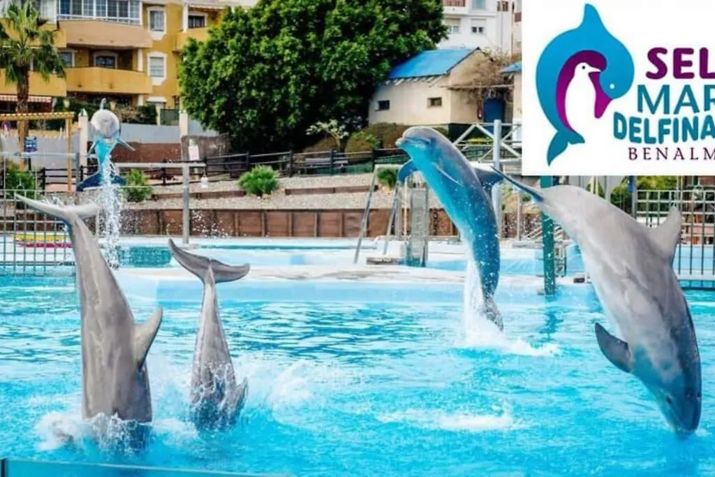 Apartment Modern Studio Near Beach. Sea, Pool And Wi-Fi Benalmadena